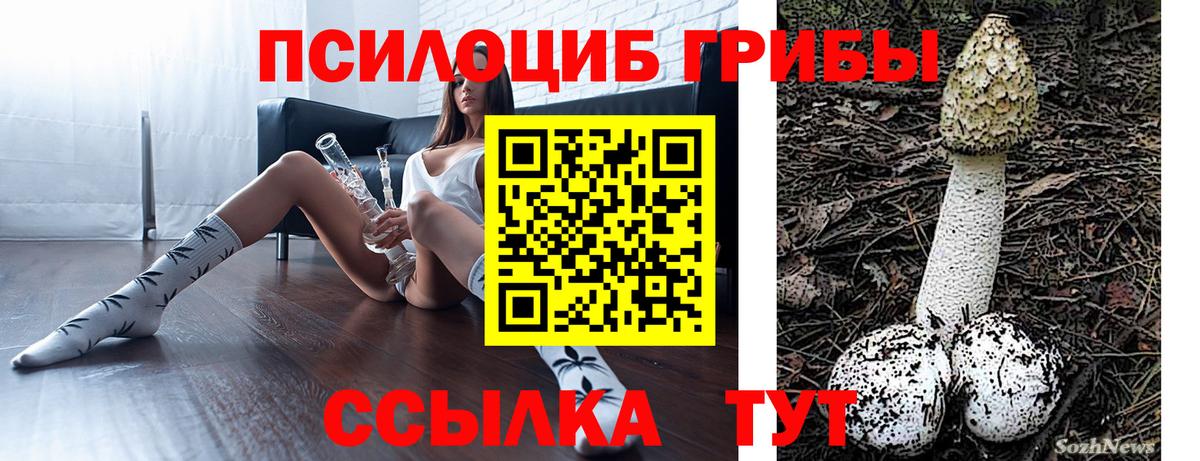 Псилоцибиновые грибы мицелий  Вход с VPN  Серпухов 